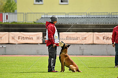 Avenger de Fontemordant