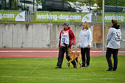 Avenger de Fontemordant