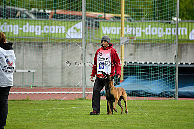 Avenger de Fontemordant