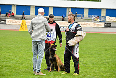 Avenger de Fontemordant