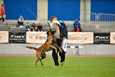 Avenger de Fontemordant
