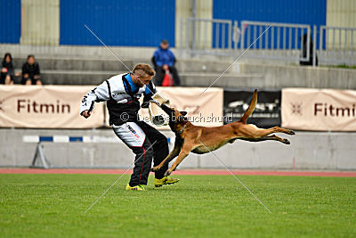 Avenger de Fontemordant