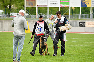 Avenger de Fontemordant