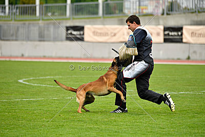 Avenger de Fontemordant