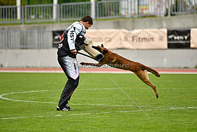 Avenger de Fontemordant