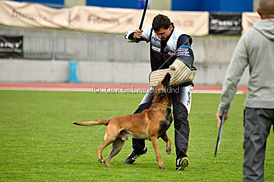 Avenger de Fontemordant