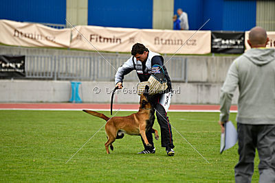 Avenger de Fontemordant