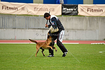 Avenger de Fontemordant