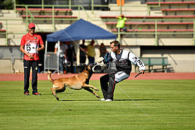 Avenger de Fontemordant