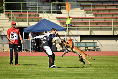 Avenger de Fontemordant