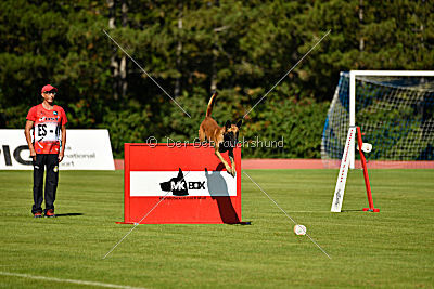 Avenger de Fontemordant