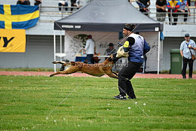 Avenger de Fontemordant