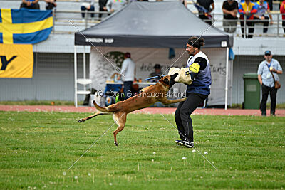 Avenger de Fontemordant