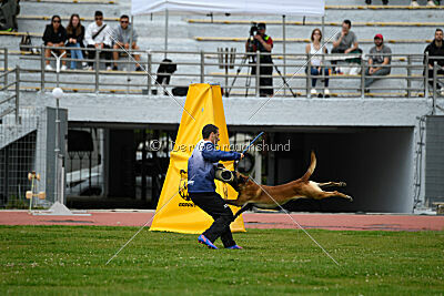 Avenger de Fontemordant
