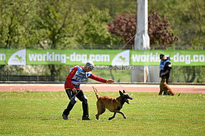 Avenger de Fontemordant