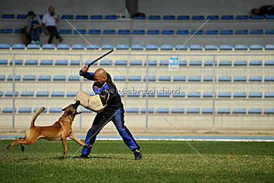 Avonwolf Al Capone Keith