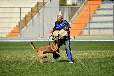 Avonwolf Al Capone Keith