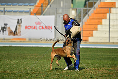 Avonwolf Al Capone Keith