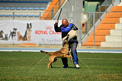 Avonwolf Al Capone Keith