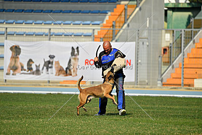 Avonwolf Al Capone Keith