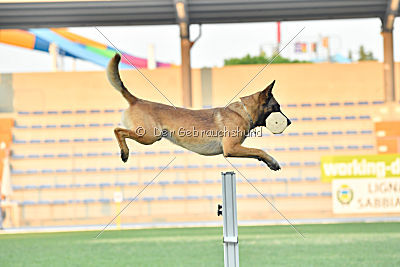 Avonwolf Al Capone Keith