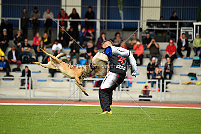 Avonwolf Al Capone Keith