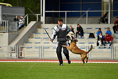 Avonwolf Al Capone Keith