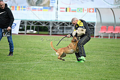 Avonwolf Deliverance