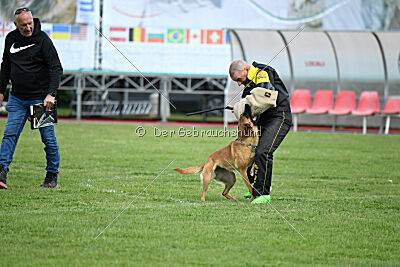 Avonwolf Deliverance