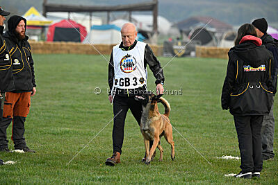 Avonwolf Delta Warrior