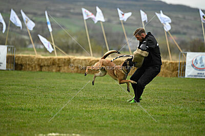 Avonwolf Delta Warrior