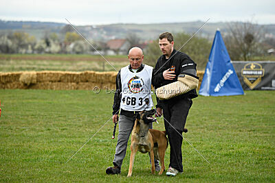 Avonwolf Delta Warrior