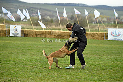 Avonwolf Delta Warrior