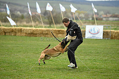 Avonwolf Delta Warrior