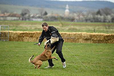 Avonwolf Delta Warrior