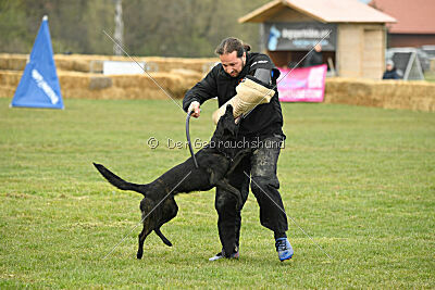 Aydi vom Scheinwerferberg
