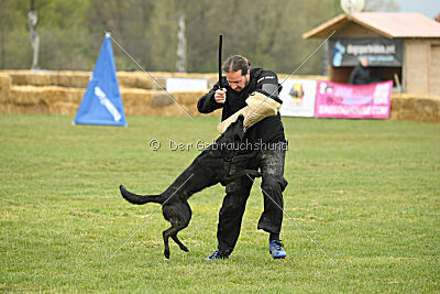 Aydi vom Scheinwerferberg