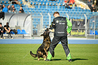 Aye vom Niedersachsenstein