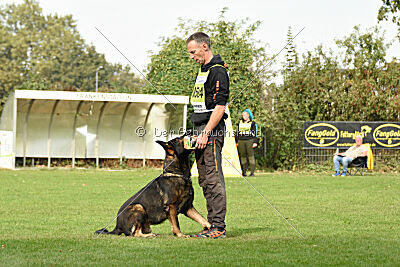 Aye vom Niedersachsenstein