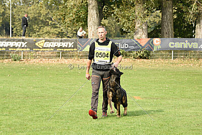 Aye vom Niedersachsenstein