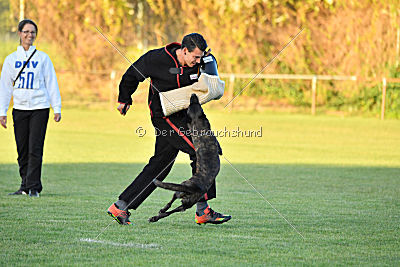 Ayleen vom Goit ym Dalh