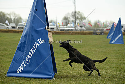 Ayumi vom Scheinwerferberg