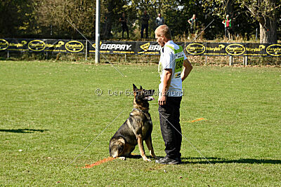 Azeem von der Michelbacher Heide