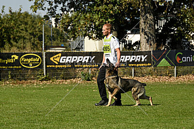 Azeem von der Michelbacher Heide