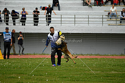 A´Deky Du Lupulard