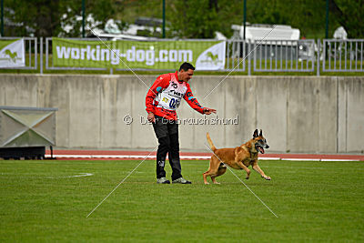 Bagdad vom Clan der Wölfe