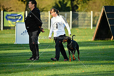 Baghira vom Schildwall