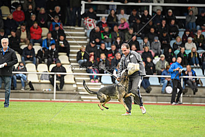 Baghira vom Wolfsstolz