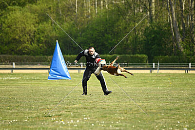 Bailo de la frisone liberte