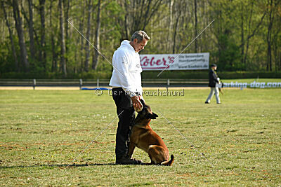 Bailo de la frisone liberte